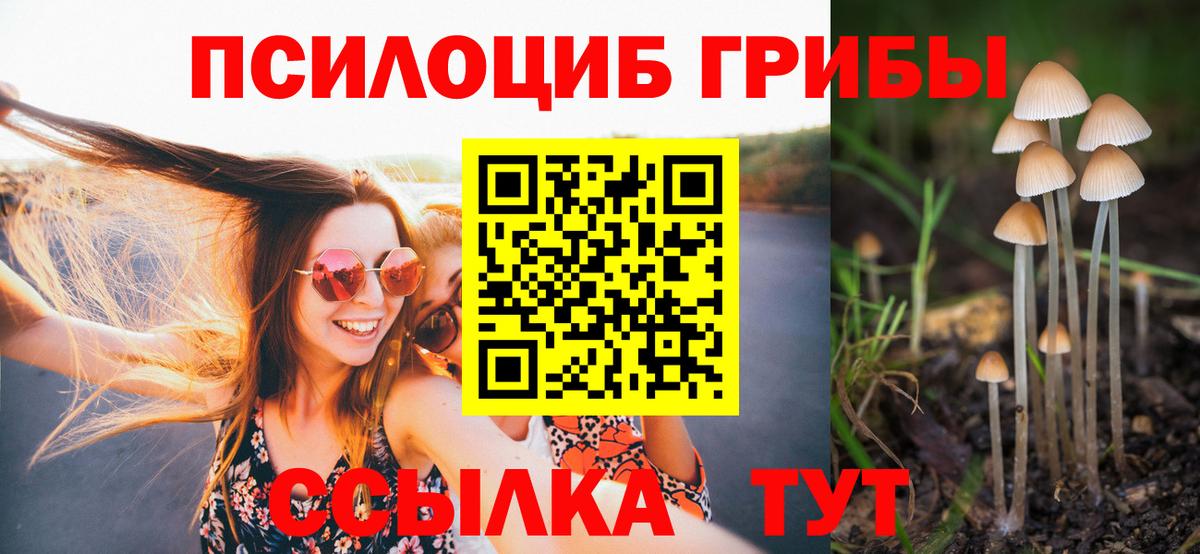 Знаменск  магазин продажи   Вход с VPN  Псилоцибиновые грибы MAGIC MUSHROOMS 
